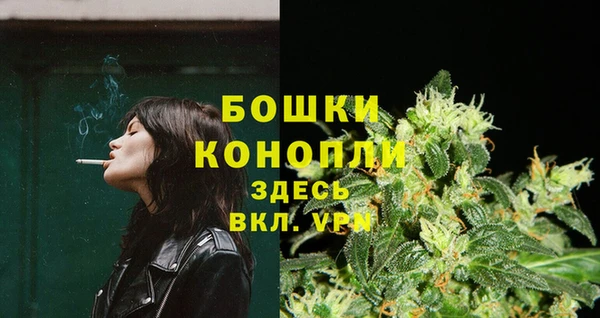 сатива Мегион