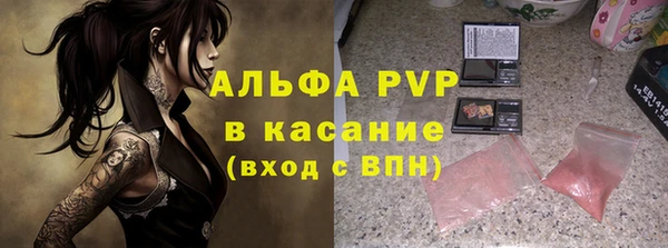 сатива Мегион