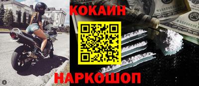 гашик Будённовск