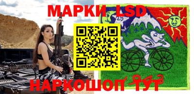 гашик Будённовск