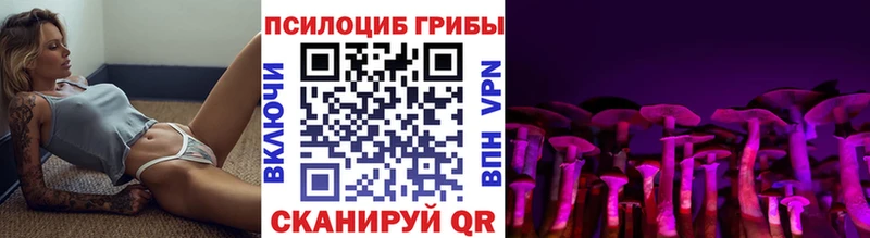 omg сайт  Краснотурьинск  Псилоцибиновые грибы Cubensis 