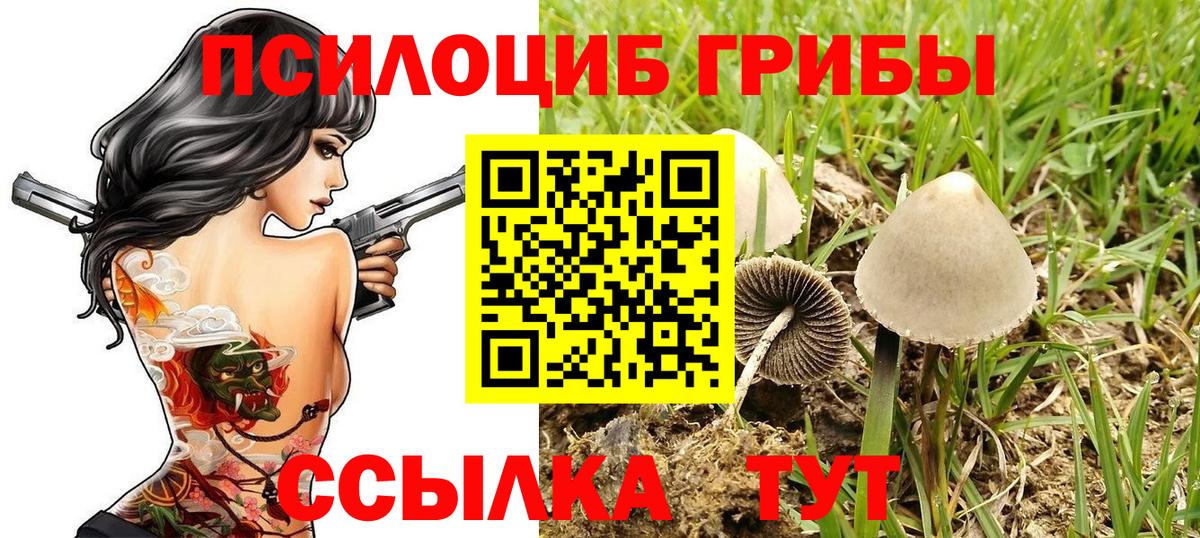 Псилоцибиновые грибы GOLDEN TEACHER  где продают   Краснотурьинск 