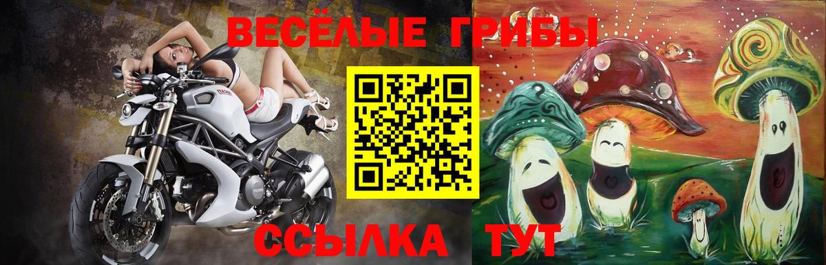 Галлюциногенные грибы MAGIC MUSHROOMS  Псилоцибиновые грибы Psilocybine cubensis  Вход с VPN  Краснотурьинск 