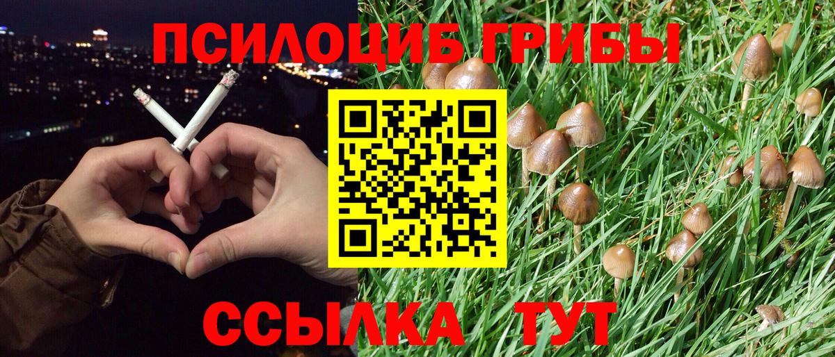 Псилоцибиновые грибы ЛСД Краснотурьинск